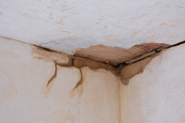 Best Flood damage cleanup  in Mccom, MS