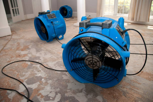 Best Flooded house restoration  in Mccom, MS
