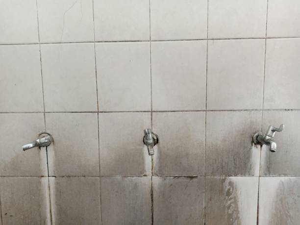 Best Ceiling water damage repair  in Mccom, MS