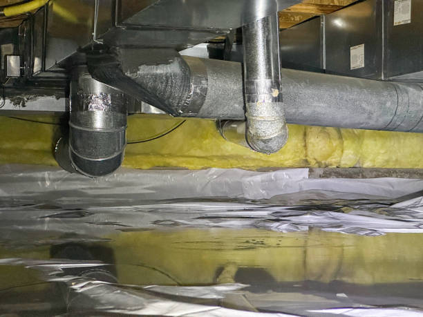 Best Water damage contractors near me  in Mccom, MS